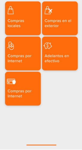 imagen-6-de-control-de-tarjtas-evertec